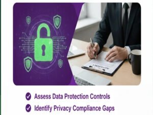 DPDP – Internal Audit Services -  Nipto Coins LLP - NC401